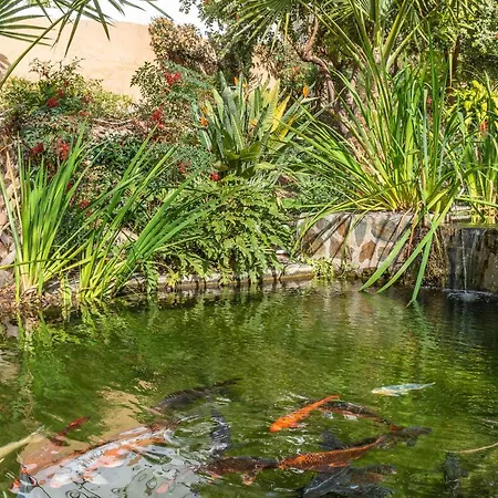 Tanger 3 Oasis Lejlighed *